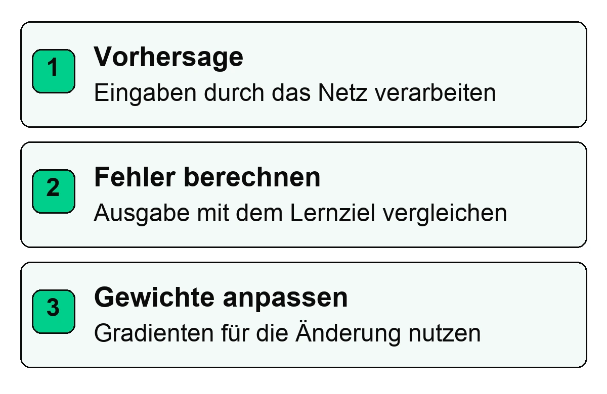 Trainingsschleife eines neuronalen Netzes: Vorhersage, Fehler berechnen, Gewichte mithilfe von Gradienten anpassen.