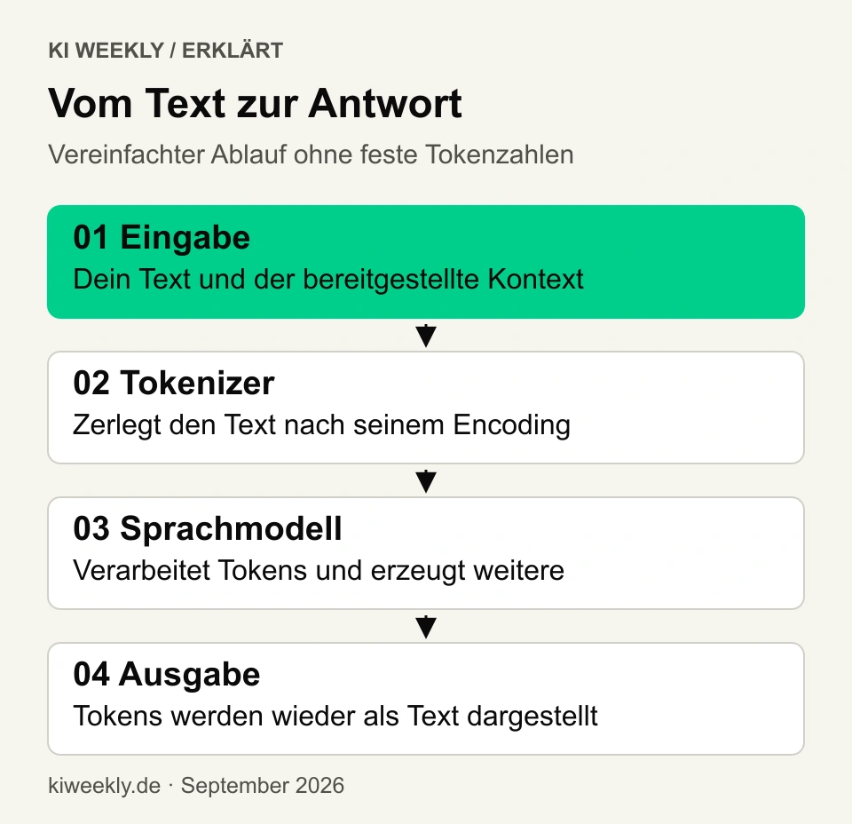 Schema vom Text über den Tokenizer zum Modell und zur Antwort